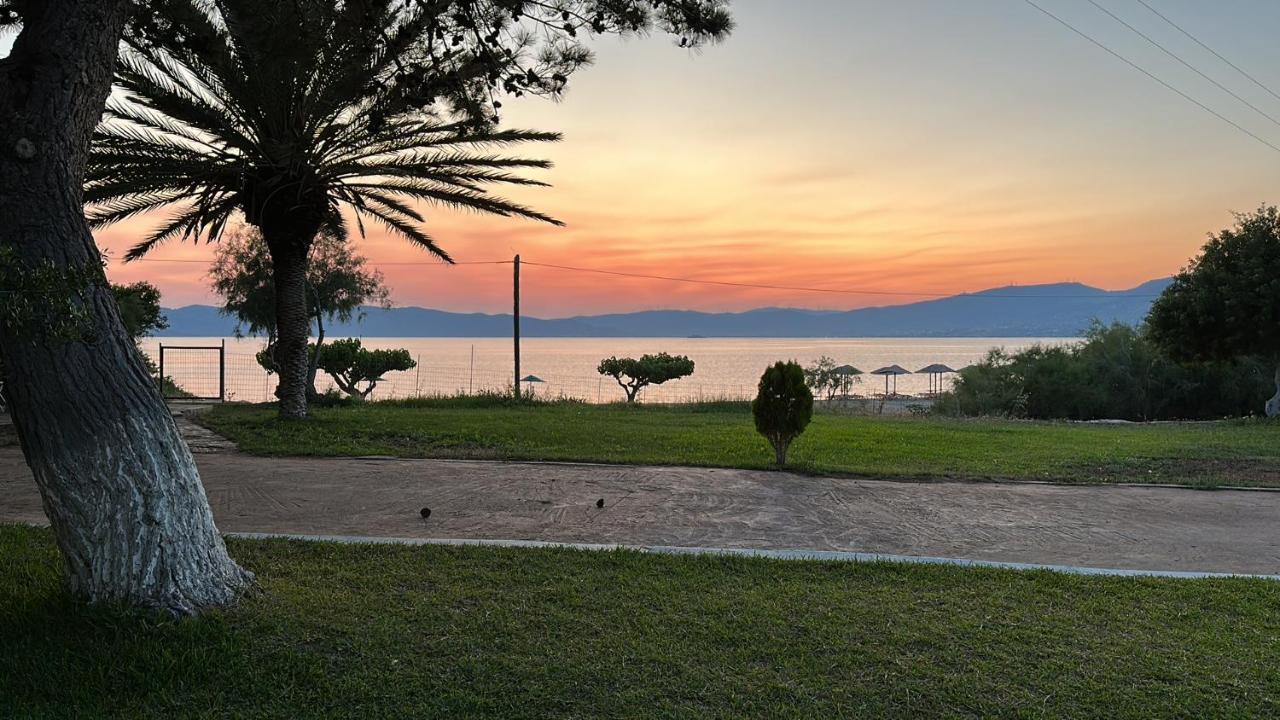 Bouros Seaview Farm Villa Karystos  Exterior photo